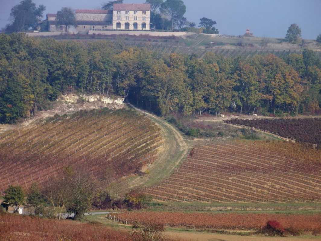 1 Vers Gaillac chemin venant de Broze